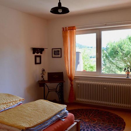 Ferienwohnung Ruth Neustadt an der Weinstraße 외부 사진